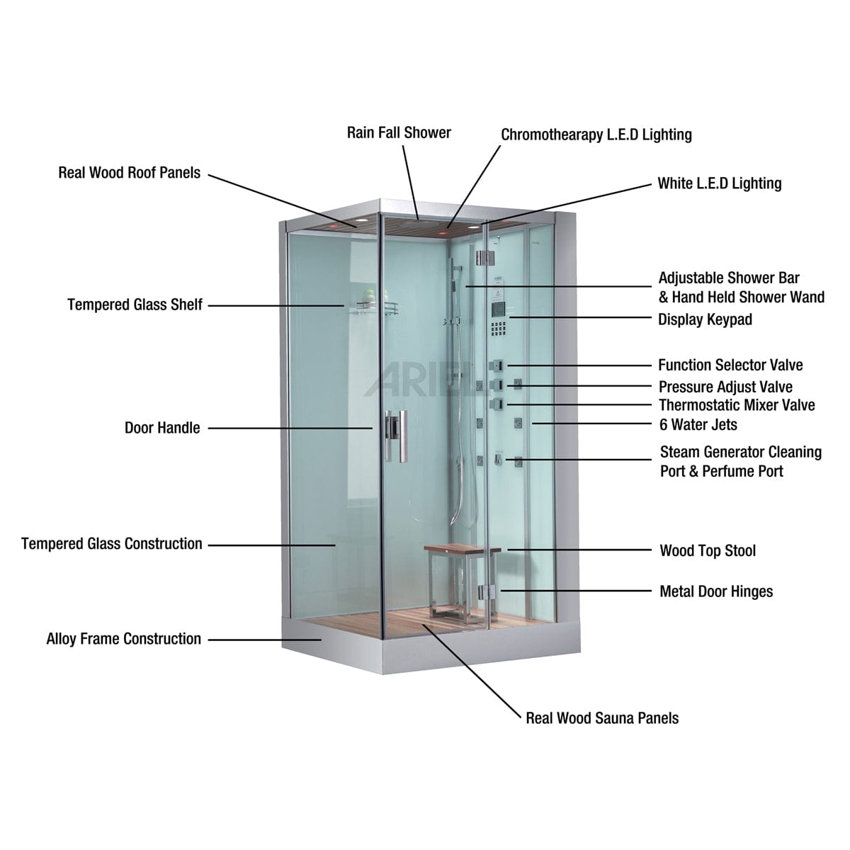 Platinum DZ959F8 2 Person Walk-In Steam Shower