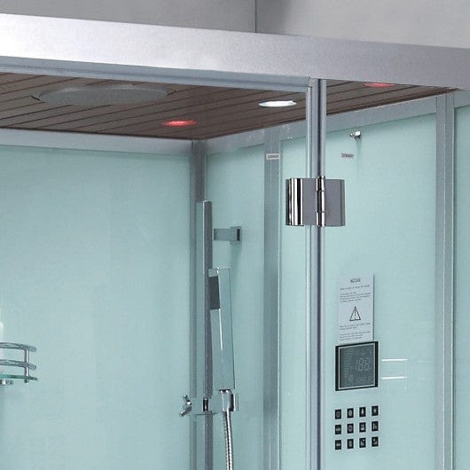 Platinum DZ959F8 2 Person Walk-In Steam Shower