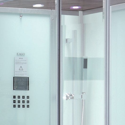 Platinum DZ961F8 2 Person Walk-In Steam Shower