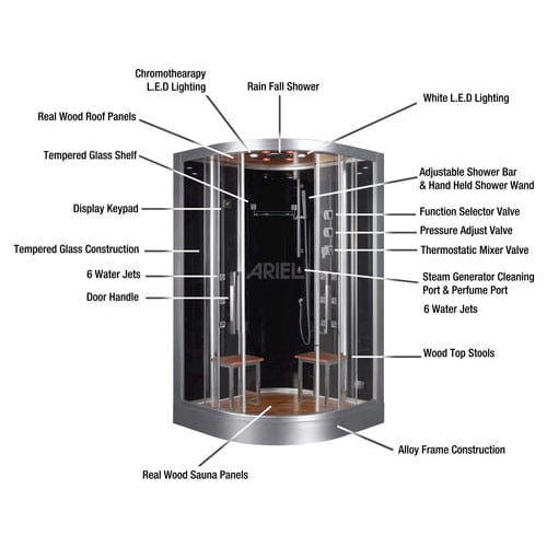 Platinum DZ962F8 2 Person Walk-In Steam Shower